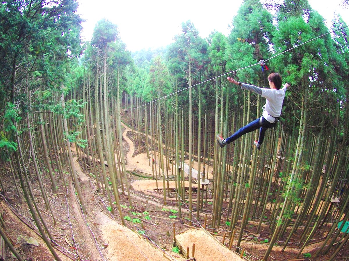 🌳 신시로 종합공원 (Shinshiro Comprehensive Park) 이미지 8